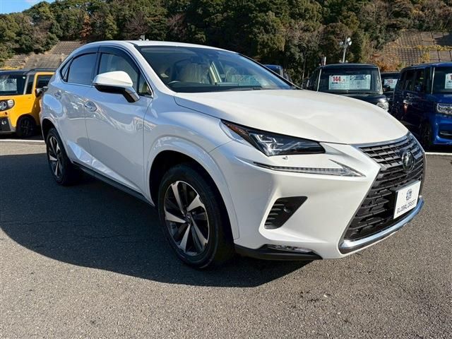 TOYOTA LEXUS NX300 2020
