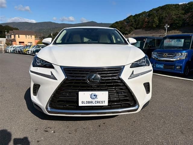 TOYOTA LEXUS NX300 2020
