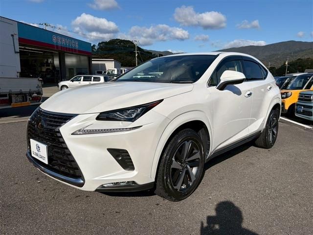 TOYOTA LEXUS NX300 2020
