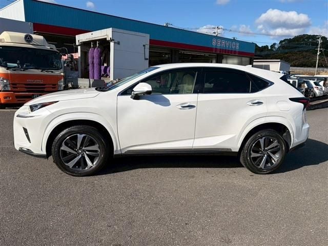 TOYOTA LEXUS NX300 2020