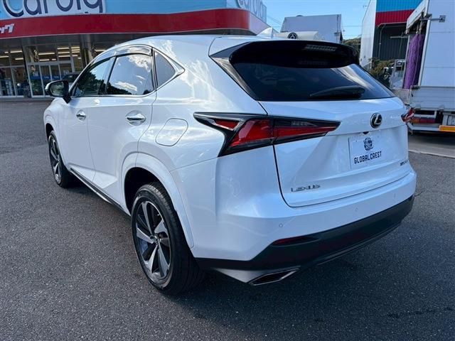 TOYOTA LEXUS NX300 2020