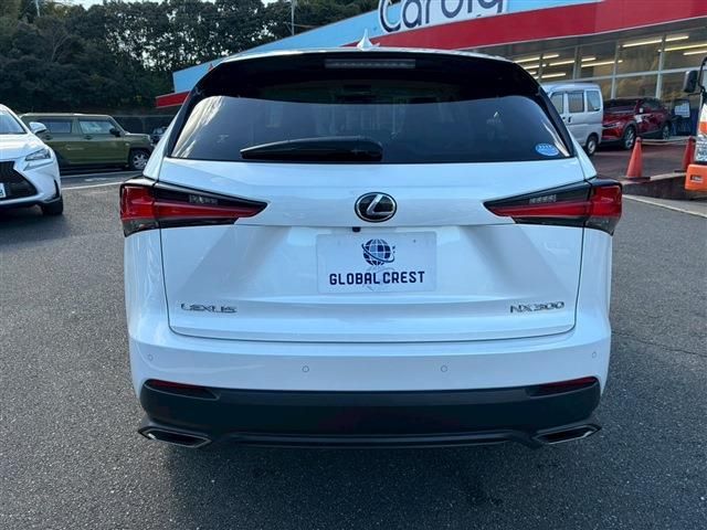 TOYOTA LEXUS NX300 2020