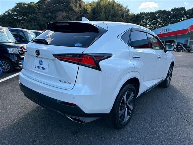 TOYOTA LEXUS NX300 2020