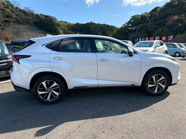 TOYOTA LEXUS NX300 2020