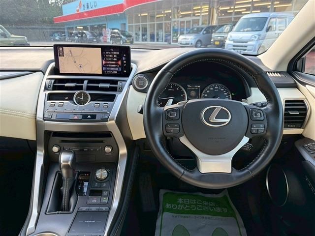 TOYOTA LEXUS NX300 2020