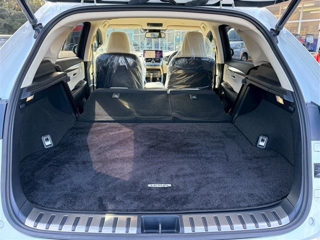 TOYOTA LEXUS NX300 2020