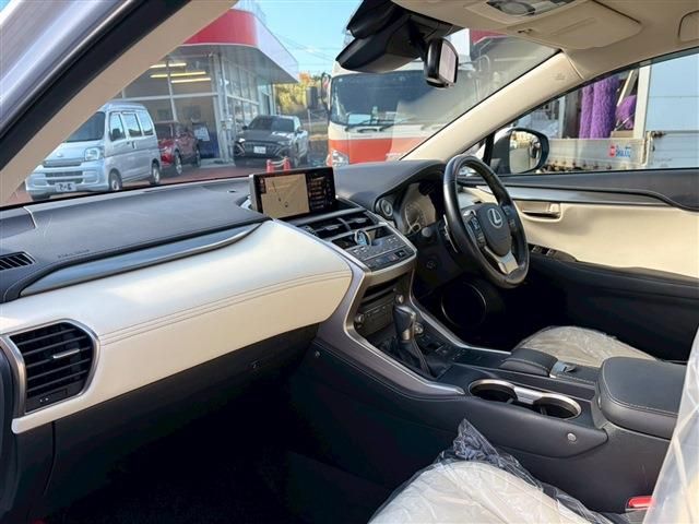 TOYOTA LEXUS NX300 2020