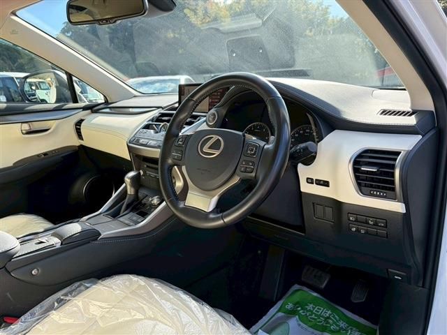 TOYOTA LEXUS NX300 2020