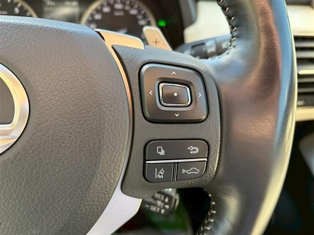 TOYOTA LEXUS NX300 2020