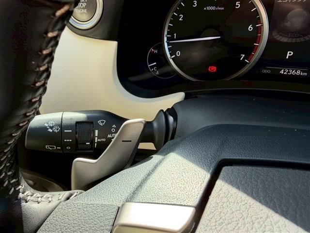 TOYOTA LEXUS NX300 2020