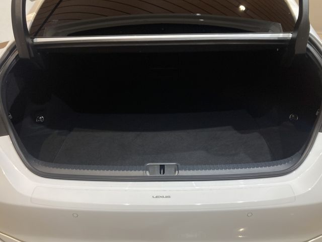 TOYOTA LEXUS ES300h 2023