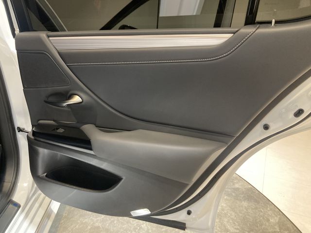 TOYOTA LEXUS ES300h 2023