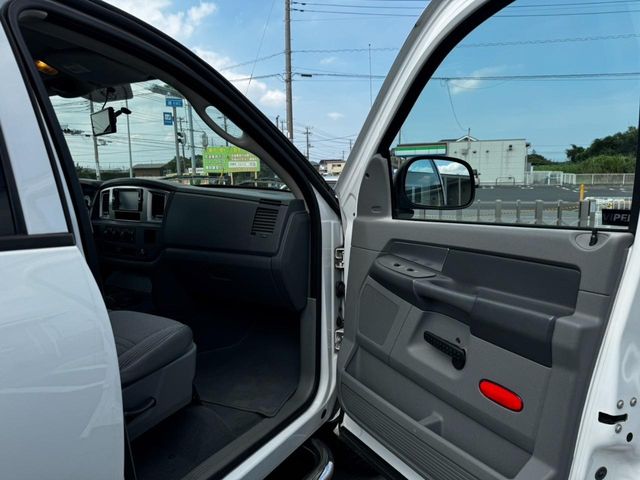 DODGE DODGE RAM pickup truck 2010