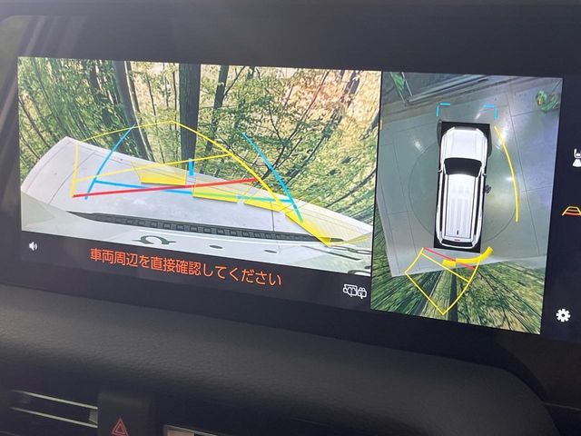 TOYOTA LANDCRUISER 250 2024