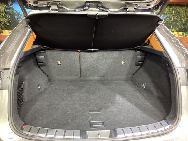 TOYOTA LEXUS NX350h 2023