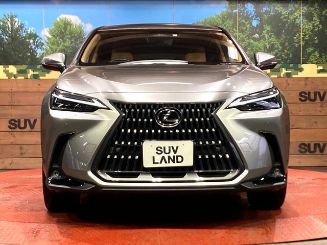 TOYOTA LEXUS NX350h 2023