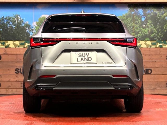 TOYOTA LEXUS NX350h 2023