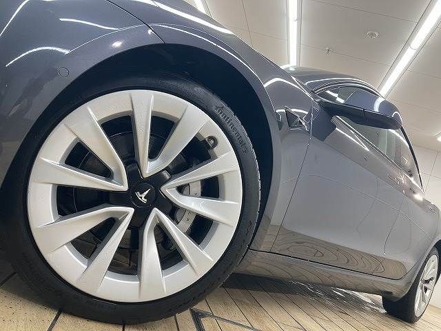 TESLA TESLA MODEL 3 2021