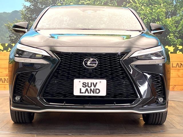 TOYOTA LEXUS NX350h 2023