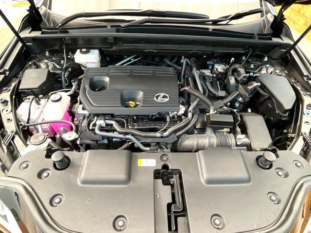 TOYOTA LEXUS NX350h 2023