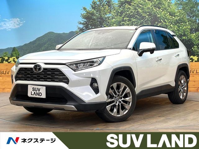 TOYOTA RAV4 4WD 2019