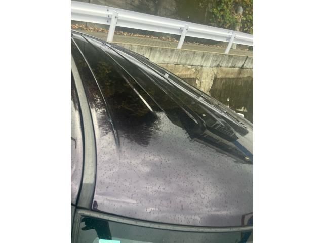 SUZUKI PALETTE SW 2012