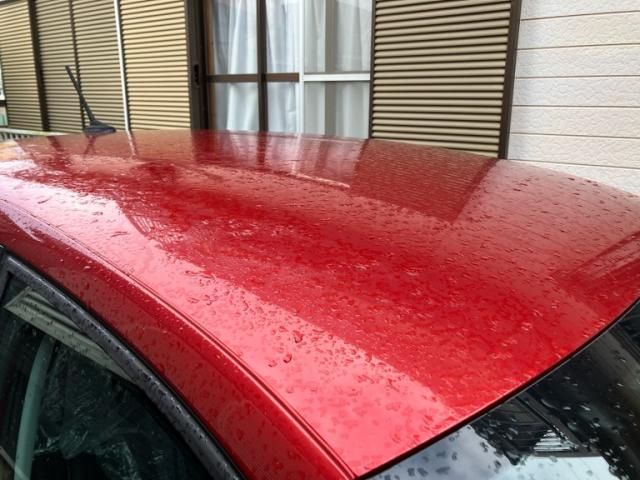 VOLKSWAGEN VOLKSWAGEN POLO 2017