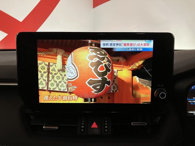 TOYOTA RAV4 4WD 2024