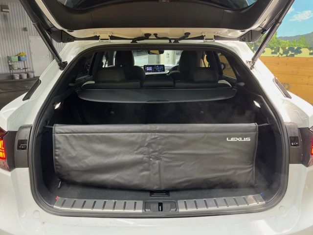 TOYOTA LEXUS RX450h 2WD 2022