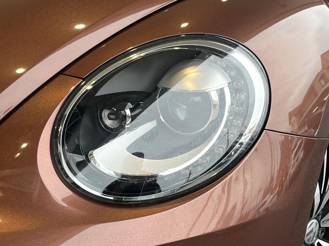 VOLKSWAGEN VOLKSWAGEN The BEETLE 2016