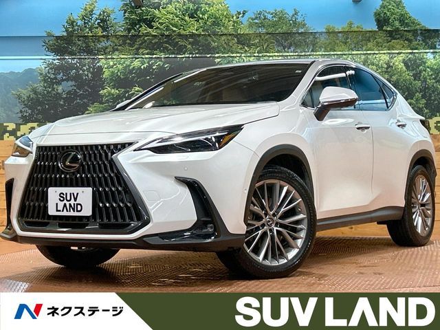 TOYOTA LEXUS NX350h 2023