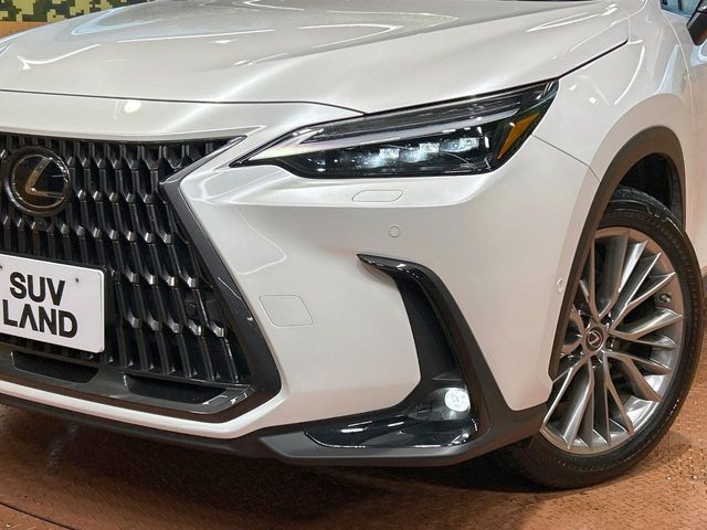 TOYOTA LEXUS NX350h 2023