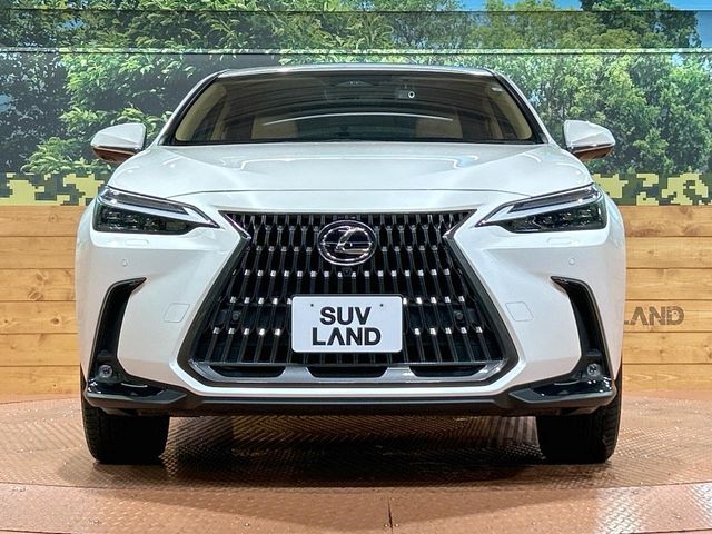 TOYOTA LEXUS NX350h 2023