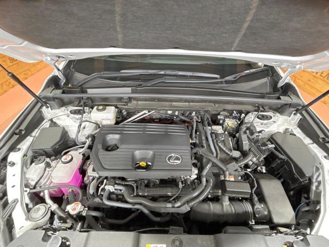 TOYOTA LEXUS NX350h 2023