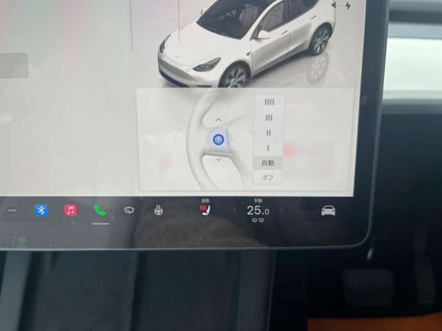 TESLA TESLA MODEL Y 2024