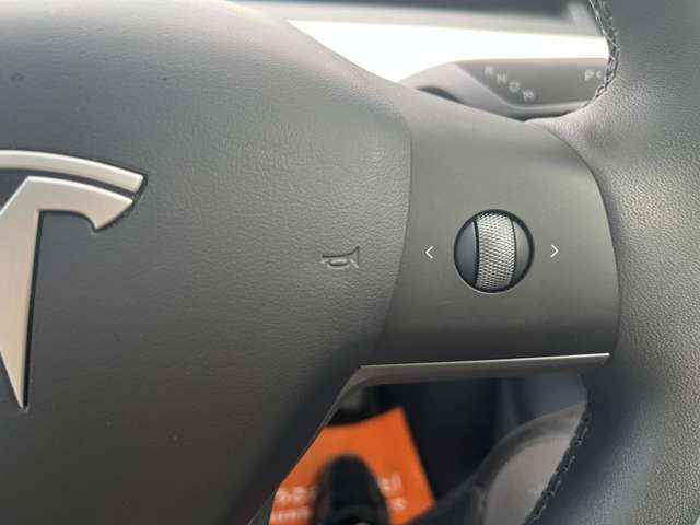 TESLA TESLA MODEL Y 2024