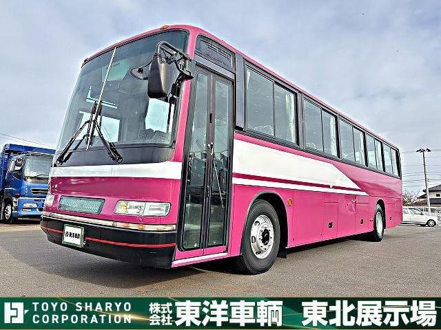 HINO Blue Ribbon 2004