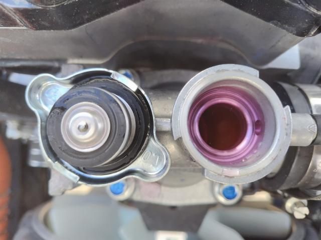 MITSUBISHI FUSOU FIGHTER 2025