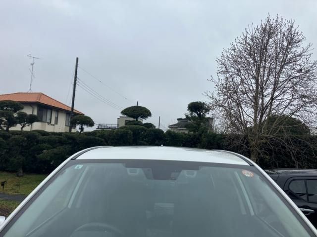 SUBARU FORESTER 2019