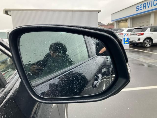 TOYOTA RAV4 4WD 2019