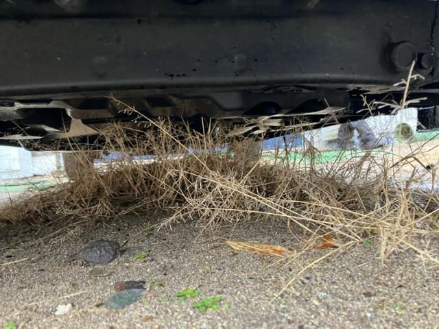 SUZUKI EVERY van 4WD 2018