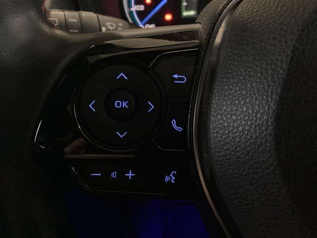 TOYOTA RAV4 PHV 2021