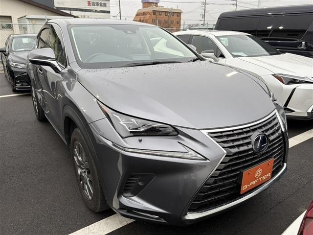 TOYOTA LEXUS NX300h 2020