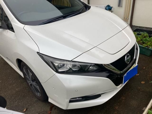 NISSAN LEAF 2019