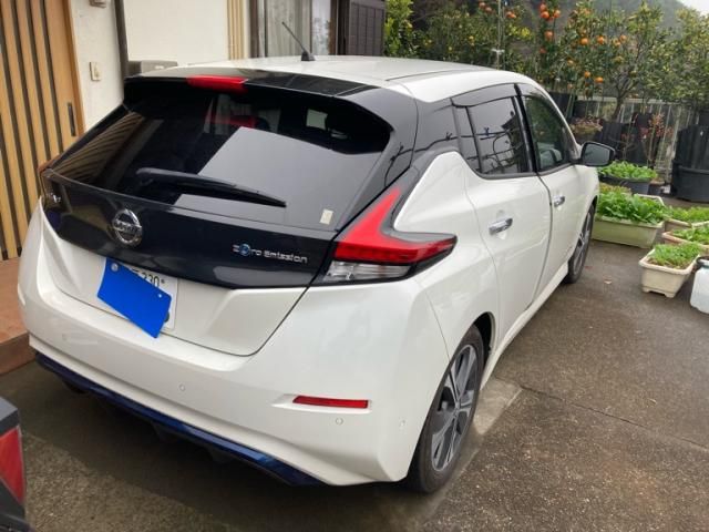 NISSAN LEAF 2019