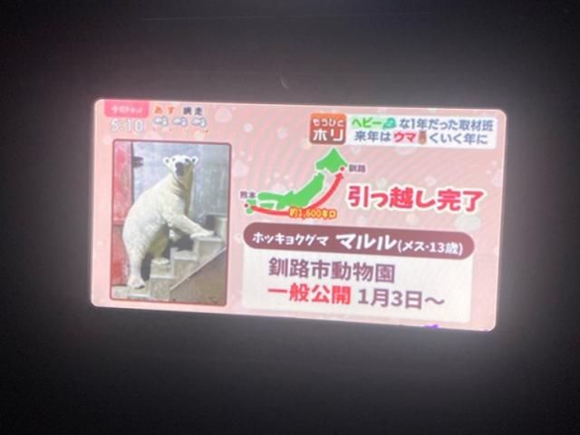 TOYOTA PRIUS Alpha 2013