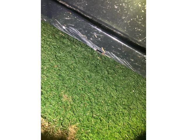 TOYOTA PRIUS Alpha 2012