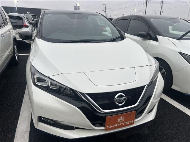 NISSAN LEAF 2019