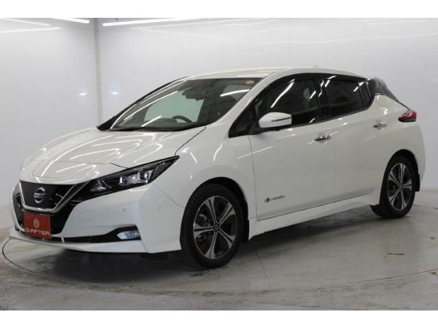 NISSAN LEAF 2020