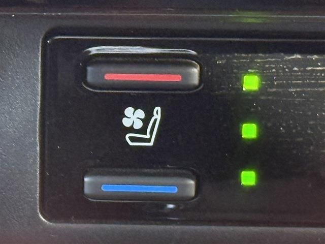 TOYOTA RAV4 4WD 2019